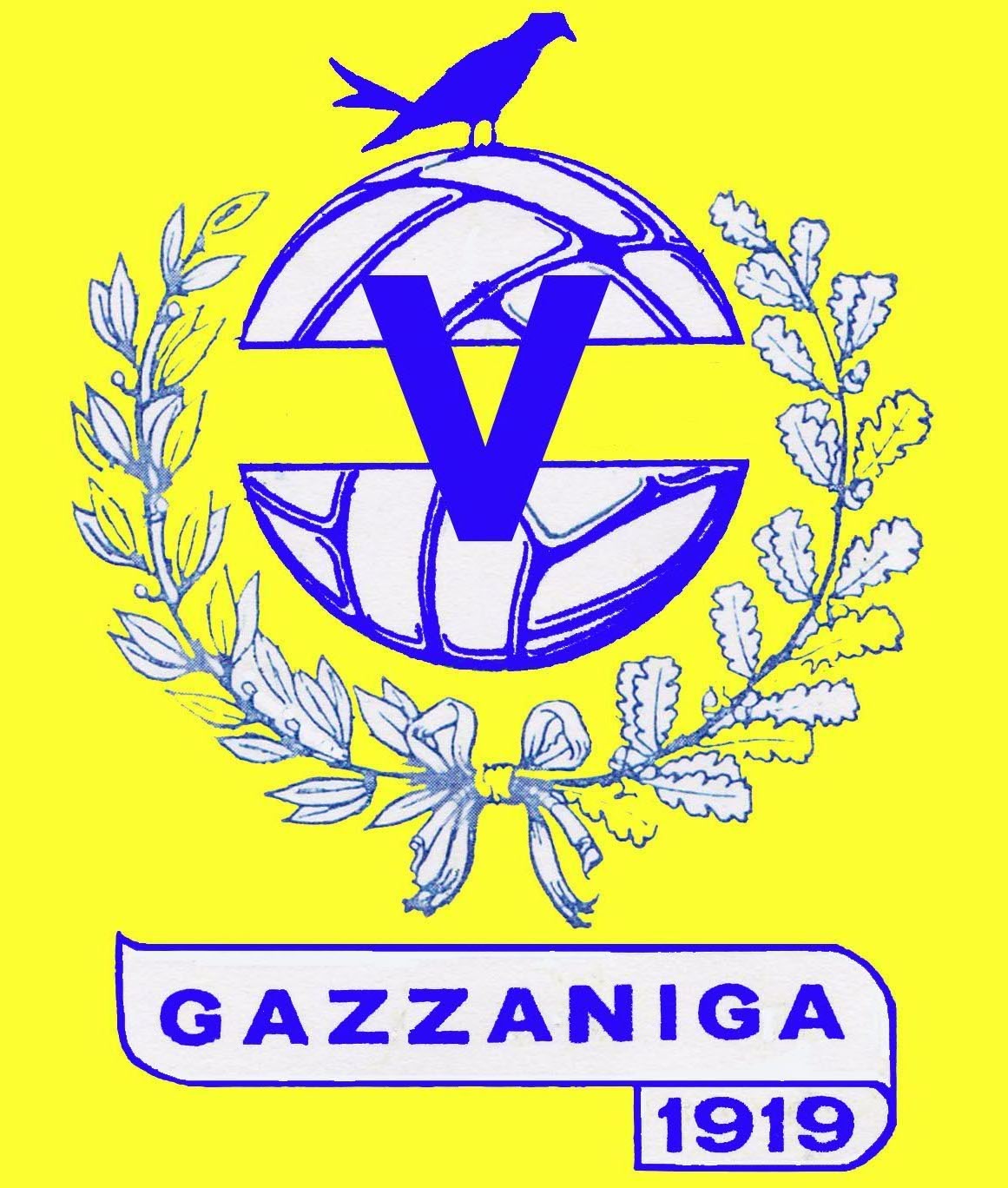 logo associazione : PING PONK E CALCIO BALILLA - VIS GAZZANIGA