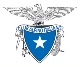 Logo associazione ALPINISMO - CAI ALBINO SEZ.GAZZANIGA