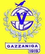 logo associazione : PING PONK E CALCIO BALILLA - VIS GAZZANIGA