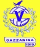 Logo associazione PING PONK E CALCIO BALILLA - VIS GAZZANIGA